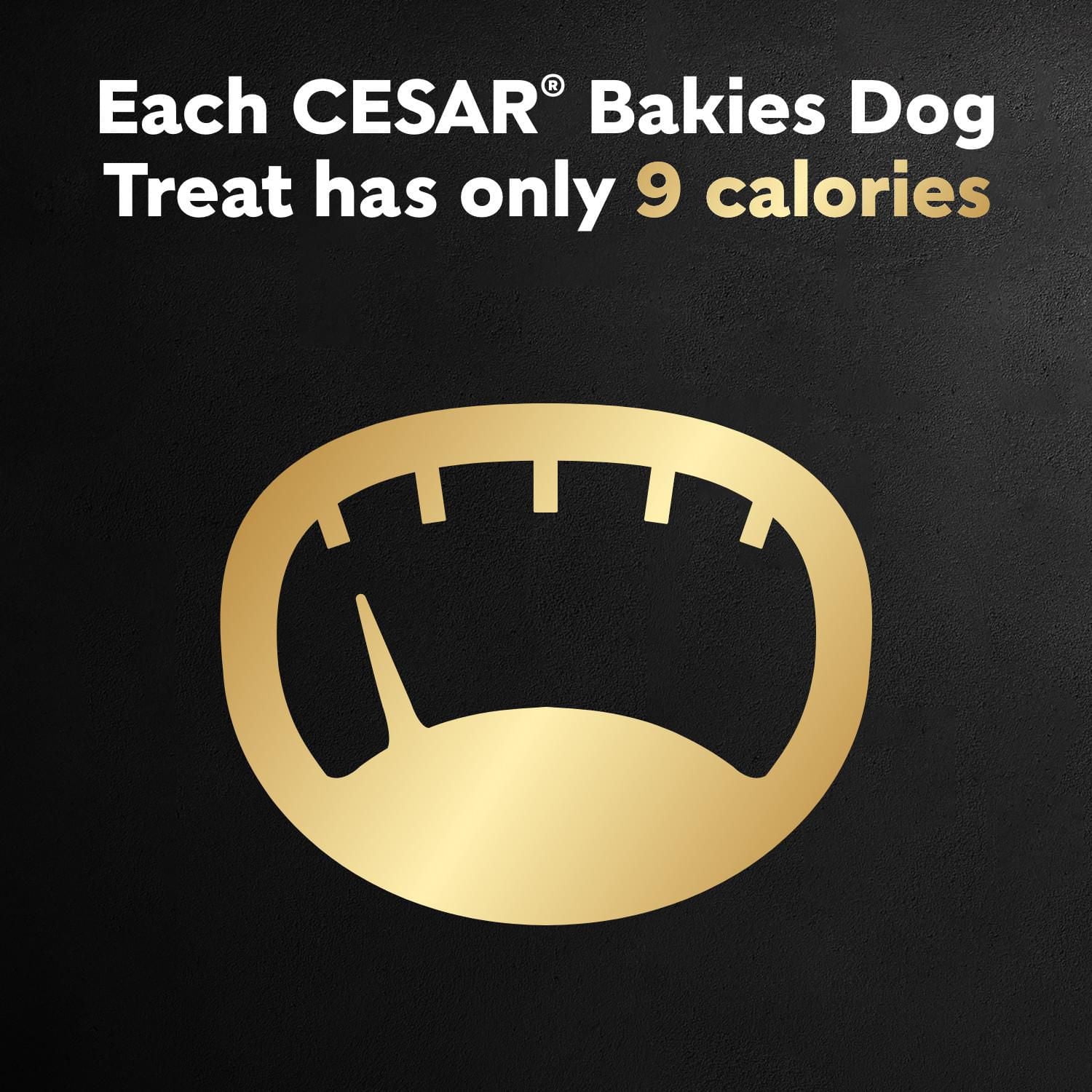 CESAR BAKIES Dog Treats, Small Adult Dogs, New York Strip Flavour, 180 - 550g