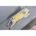 thumbnail image 4 of Dog Diapers Female Washable Sanitary Pantie with Adjustable Suspender, Reusable Doggie Diapers for Male Girl Dogs in Heat, Yellow leaves (Yellow leaves M), 4 of 5