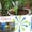 Irigation Supplies #003A, variant on Drip Irrigation Kit Automatic Plant Watering System with Control Valve Switch, 12-Piece Adjustable Self-Watering Spikes for Outdoor Garden Plants Irigation Supplies #002A