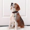thumbnail image 5 of Par de cascabeles para perros y gatos muy ruidosos, cascabeles de latón duraderos para mascotas, cascabeles colgantes con cierre, rastreador giratorio para mascotas, 5 of 5