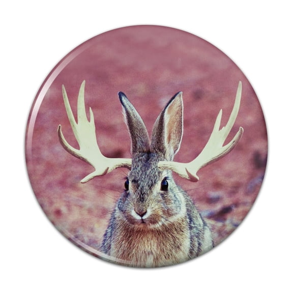 Jackalope Realistic Pinback Button Pin