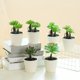 thumbnail image 3 of Decoración hogareña Gwong Planta artificial Bonsai Natural Vivid Plastic Mini Fake Succulent Plant Suculents Plastic Suculents Potted para escritorio Gwong 21078621, 3 of 6