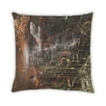 thumbnail image 2 of Ahgly Company Earth Waterfall Coussin Intérieur, 18 Pouces par 18 Pouces, 2 of 6