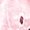 Pink, variant on Gynyvoja Womens Summer Tops Cute Boho Blouses Beach Vacation Spring Outfits Eyelet Embroidered Clothes White XL