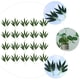 thumbnail image 5 of BRIGHTFUFU 100pcs de hojas de bambú simuladas de 100 unids bambú ramas doméstico adorno decorativo, 5 of 7