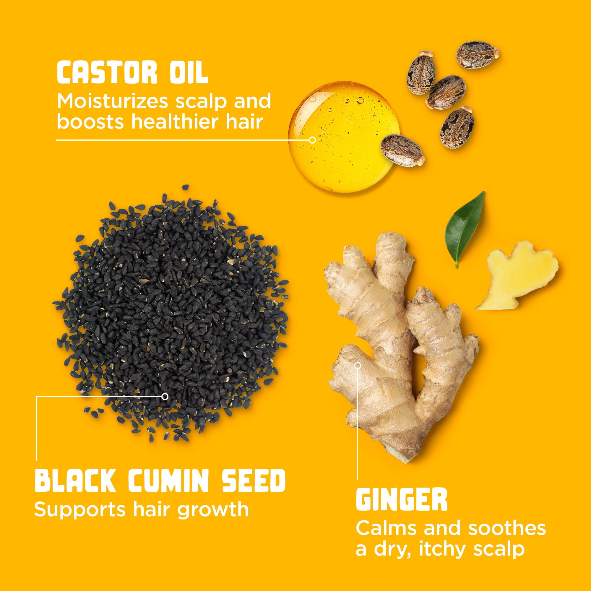 Carol's Daughter Goddess Strength Fortifying Conditioner with Castor Oil, Conditioner with Castor Oil, 11 fl oz