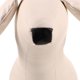 thumbnail image 2 of ColoMX Maniquí de perro, maniquí de pie Flexible para perro, modelo de exhibición de ropa, maniquí de perro para tienda de mascotas, 2 of 7