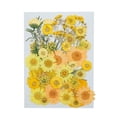 thumbnail image 1 of Flores secas naturales Artesanía en relieve Ramos de flores prensadas Decoraciones florales secas Regalos de suministro de hogar para tarjetas de boda Vela Otoño Monstrate HA010752-05, 1 of 7