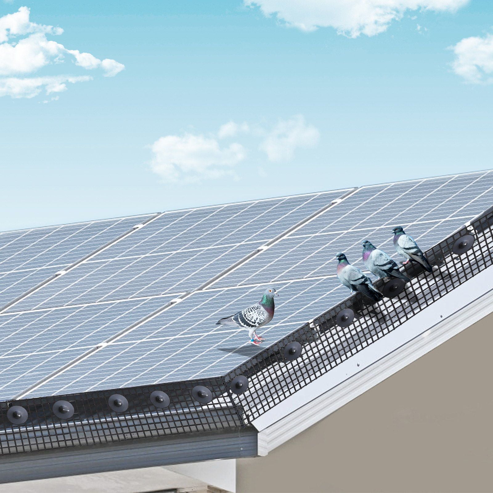 6 inch x 100ft Solar Panel Bird Guard, Critter Guard Roll Kit with 100pcs Stainless Steel Fasteners, Solar Panel Guard with Rust-proof PVC Coating, 1/2 inch Wire Roll Mesh