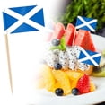 thumbnail image 1 of Country Flag Toothpicks | Cake and Burger Decorative Sticks | Flags for Themed Meals, 1 of 5