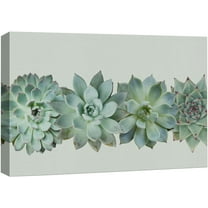 wall26 Canvas Print Wall Art Variety of Green Desert Succulents Floral Plants Photography Realism Rustic Closeup Colorful Multicolor Ultra for Living Room, Bedroom, Office - 32"x48"