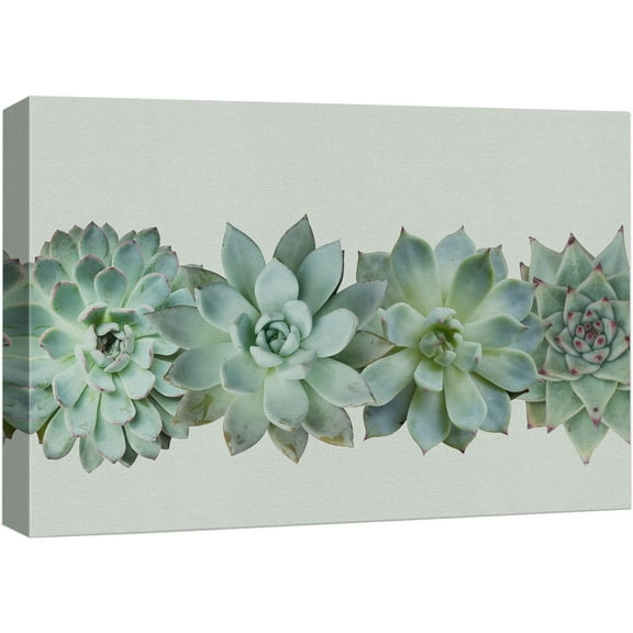 wall26 Canvas Print Wall Art Variety of Green Desert Succulents Floral Plants Photography Realism Rustic Closeup Colorful Multicolor Ultra for Living Room, Bedroom, Office - 32"x48"