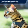 thumbnail image 2 of KY Escape Proof Cat Harness and Leash Set by OutdoorBengal for Walking Cats and Kittens (Soft Mesh, Medium Cat), 2 of 6
