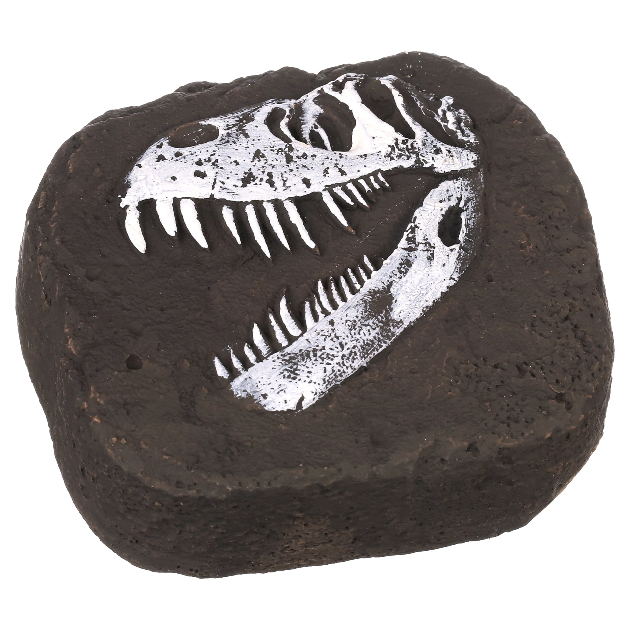 Great Jurassic Science gift for Paleontology and Archeology enthusiasts of any age NATIONAL GEOGRAPHIC Dino Fossil Dig Kit Excavate 3 real fossils including Dinosaur Bones & Mosasaur Teeth 