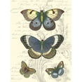 thumbnail image 2 of Vision Studio  12x14 Gold Ornate Wood Framed with Double Matting Museum Art Print Titled - Butterfly Delight I, 2 of 4