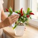 thumbnail image 1 of High-End Artificial Pepper Bonsai Flower Arrangements Indoor Home Fashion Decorations Green Plants And Artificial Flowers, 1 of 7