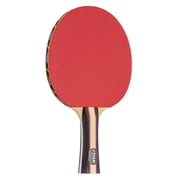 STIGA Performance Table Tennis Set (2 Player Set)