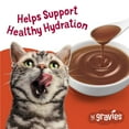 thumbnail image 4 of Purina Friskies Lil Gravies, Roast Beef Flavor Gravy, Wet Cat Food, 1.55 oz. Pouch, 4 of 9