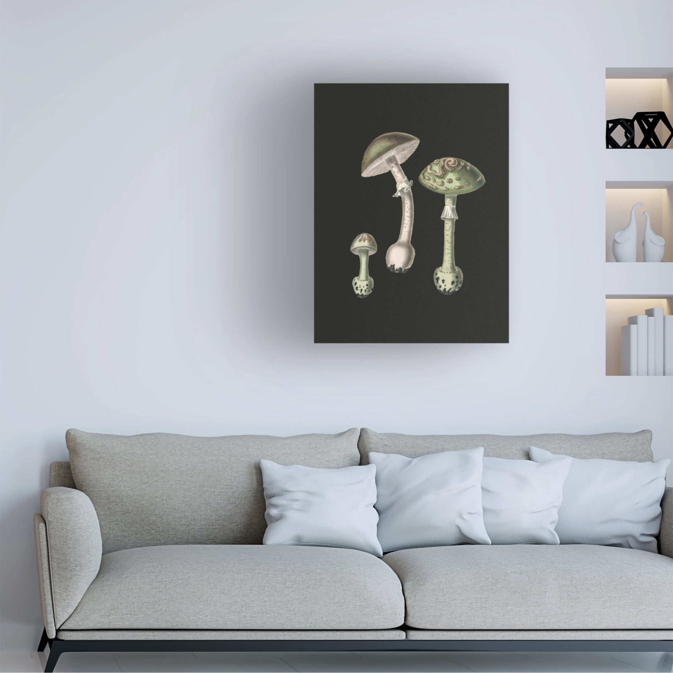 Trademark Fine Art Pictufy   Amanita Muscaria Dark Background Canvas Wall Art