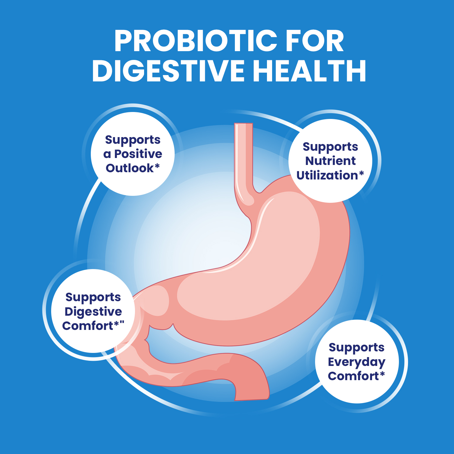 Metabolyn Capsules – Metabolyn Pills Digestive Support, Gut Wellness, 5 Pack, 300 Capsules