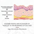 thumbnail image 3 of Anti-aging Essence Lightens Facial Fine Lines Lifts Firming Anti-wrinkle Moistur, 3 of 5