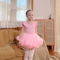 thumbnail image 3 of Ropa de baile para niños Ropa de práctica dividida de manga corta para niños Ropa de baile de ballet para niñas Ropa de actuación de baile para niños, 3 of 6