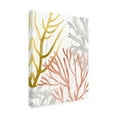 thumbnail image 2 of Grace Popp 'Desert Coral II' Canvas Art, 2 of 3