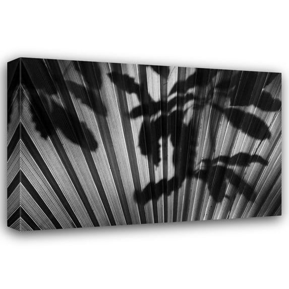 Lee Peterson 40x28 Gallery Wrapped Canvas Wall Art Titled - Shadow III
