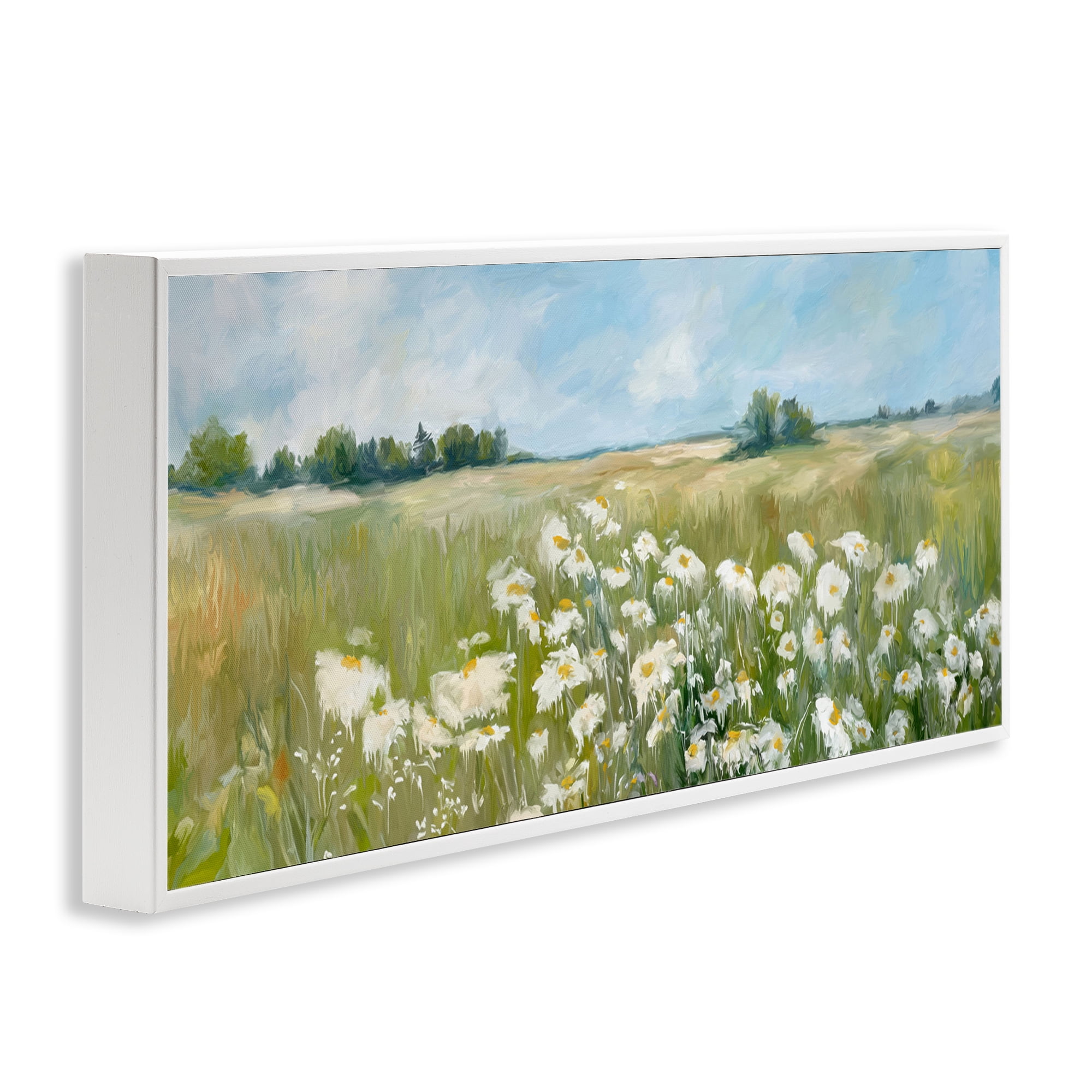 Stupell Industries Panoramic Sunlit Cliff Landscape Photography White Framed Art Print Wall Art, 30 x 13