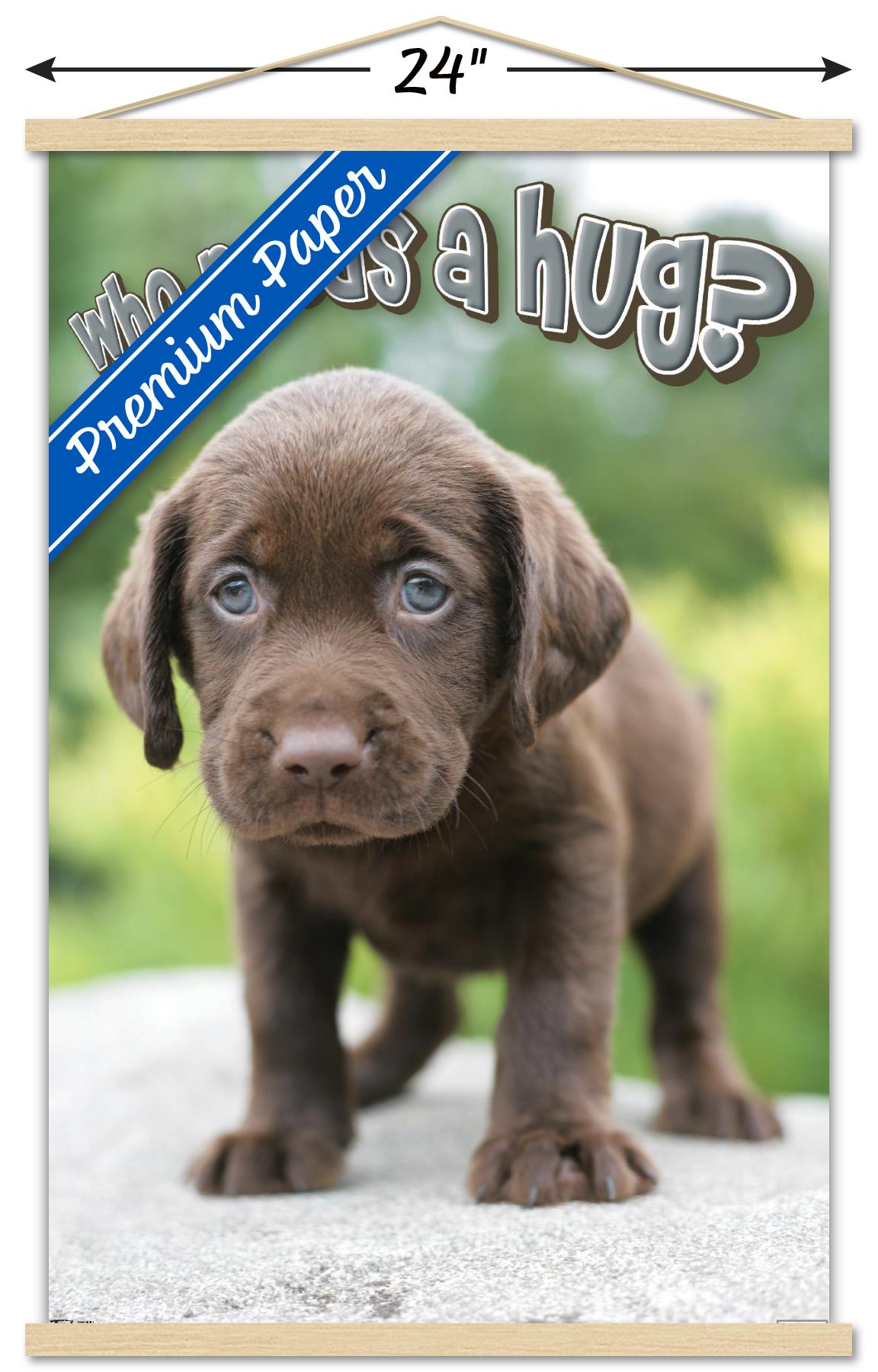 Keith Kimberlin - Puppy - Who Needs a Hug? Wall Poster with Wooden Magnetic Frame, 22.375" x 34"