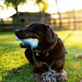 thumbnail image 2 of All For Paws Chill-Out Bite Resistance Dog Cooling Chew Toy for Summer, Ice Bone, L, 2 of 7