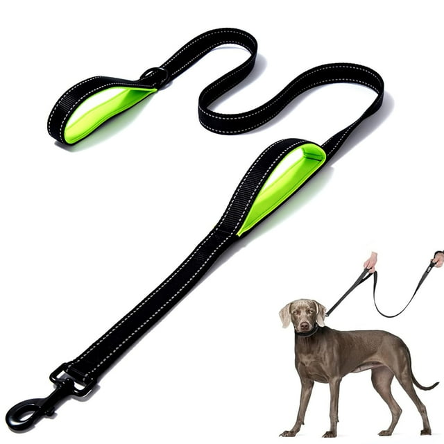 DDSColour Heavy Duty Dog Leash - 5ft 6ft Long, Double Traffic Handle Reflective - Suitable for Medium to Large Dogs - Strong, Training Nylon Leash