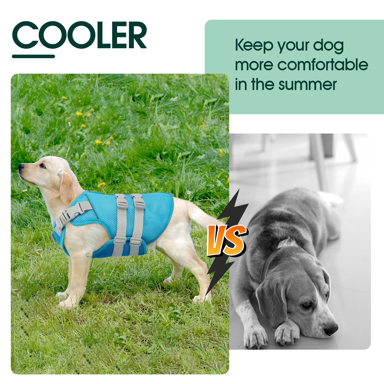 Kuoser Dog Cooling Vest, Breathable Mesh Cooling Jacket for Dog, Blue, XXL