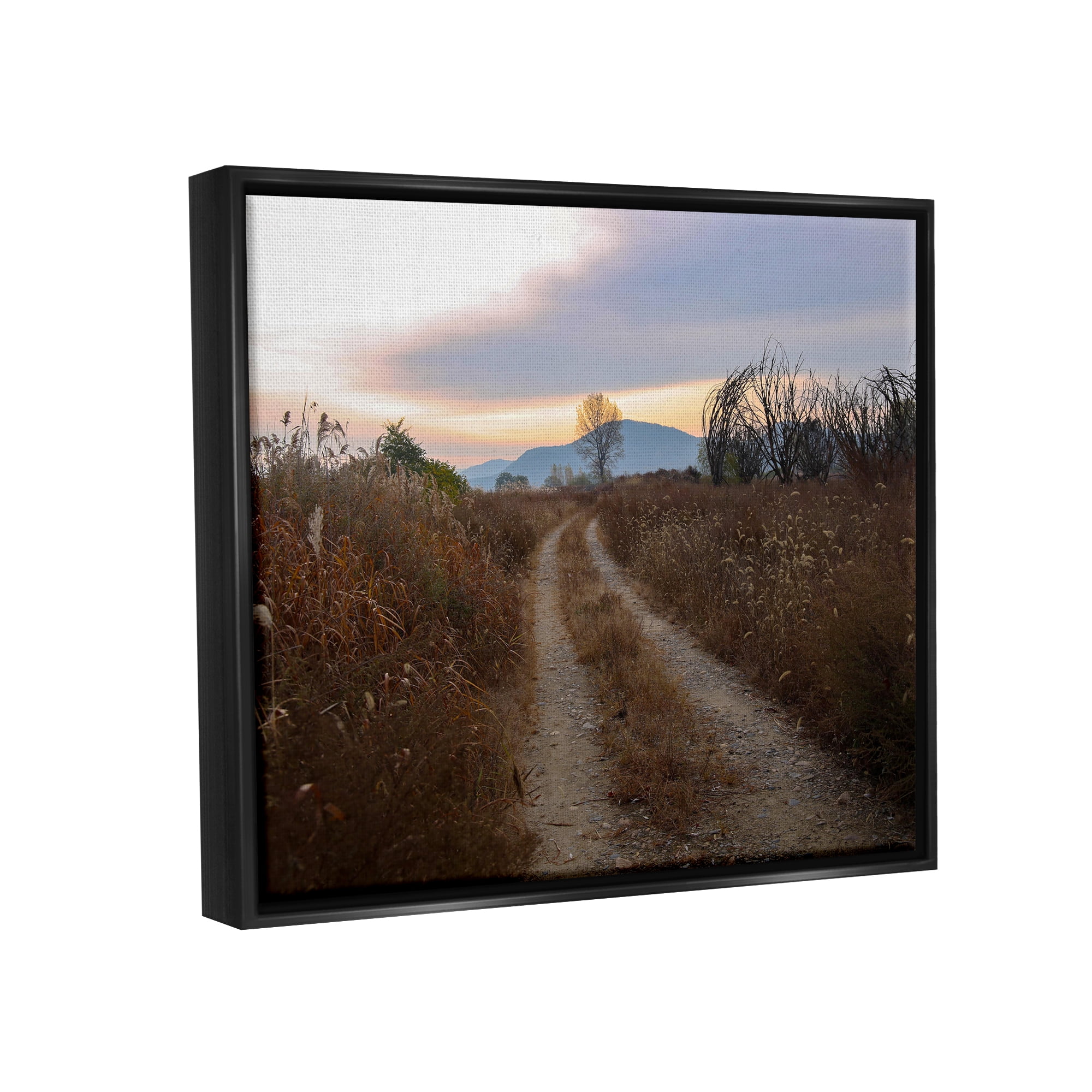 Stupell Industries Rural Trail Landscape Nature Photography Black Floater Framed Art Print Wall Art, 31 x 25