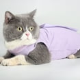 thumbnail image 6 of SPRING PARK Pets Cat Kitten Recovery Weaning Suit Breathable Elastic Soft Clothes Vest Coat, 6 of 7