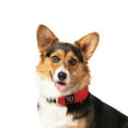 thumbnail image 4 of Nite Ize RadDog All-in-One Collar + Leash, Small - Red, 4 of 6