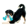 thumbnail image 4 of Playology Dog Toys | Durable Dri-Tech Rope, Peanut Butter Scented Tug of War Toy - Medium, 4 of 7