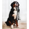 thumbnail image 4 of SPOT Skinneeez Extreme Jungle Zebra Stuffing Free Plush Tug Dog Toy, 4 of 7