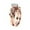 Rose Gold, variant on Tejiojio BirthDay Gifts for Women,Ladies Fashion Rose Flower Diamond Couple