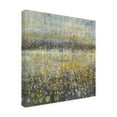 thumbnail image 3 of Trademark Fine Art 'Rain Abstract II' Canvas Art by Danhui Nai, 3 of 3