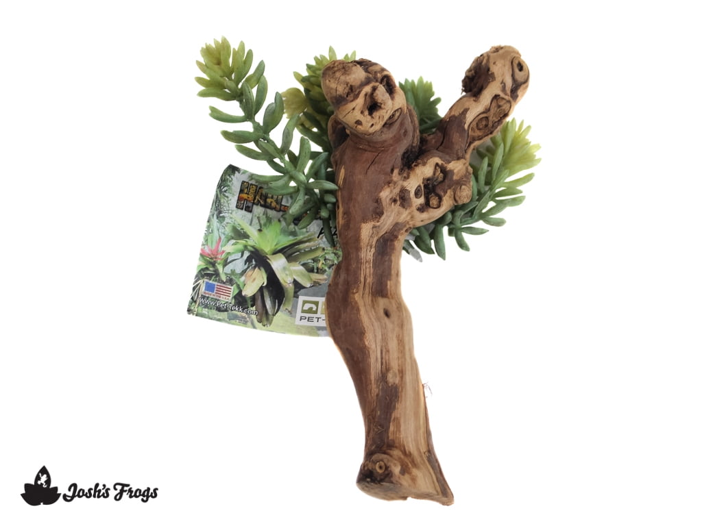 Pet-Tekk Habi-Scape Sedrum Plant on Driftwood
