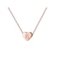 thumbnail image 1 of 26 Initial Heart Shape Alphabet Collar para Mujeres Collares de Acero Inoxidable para Mujeres A Z 26 Alphabet Initial Collares de Oro Rosa para Mujeres Niñas, 1 of 5