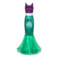 thumbnail image 1 of Raenseen Robe de Sirène d'Halloween pour Femmes, Ensemble de Jupe Sirène Maxi à Imprimé Écailles de Poisson, Violet&Vert, 1 of 7