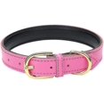 thumbnail image 1 of Aolove Basic Classic Padded Leather Pet Collars For Cats Puppy Small Medium Dogs, 1 of 5