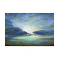 Trademark Fine Art 'Sky Light' Canvas Art by Sheila Finch