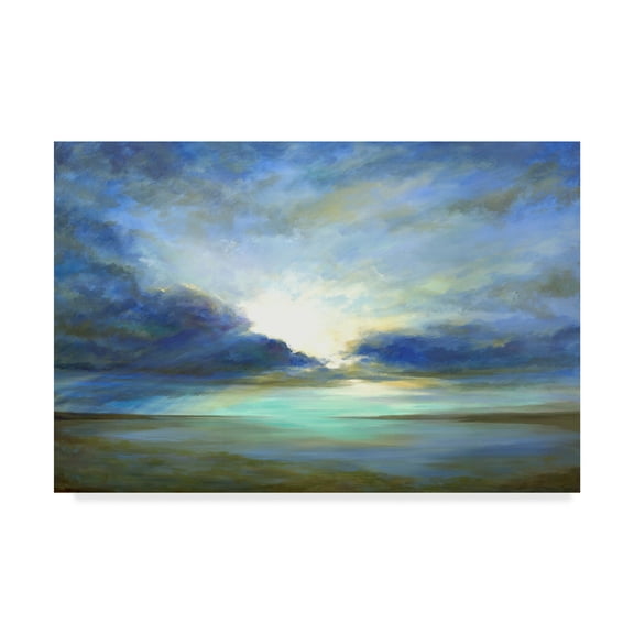 Trademark Fine Art 'Sky Light' Canvas Art by Sheila Finch