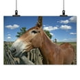 thumbnail image 2 of Print: 1880 Town, Murdo, South Dakota, 2009, 2 of 4