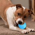 thumbnail image 5 of Interactive Dog Toys Ball, 360 Automatic Rolling Dog Chew Throw Balls with Remote & 2 Modes LED Light, Pet Electric Ball Toys, 5 of 5