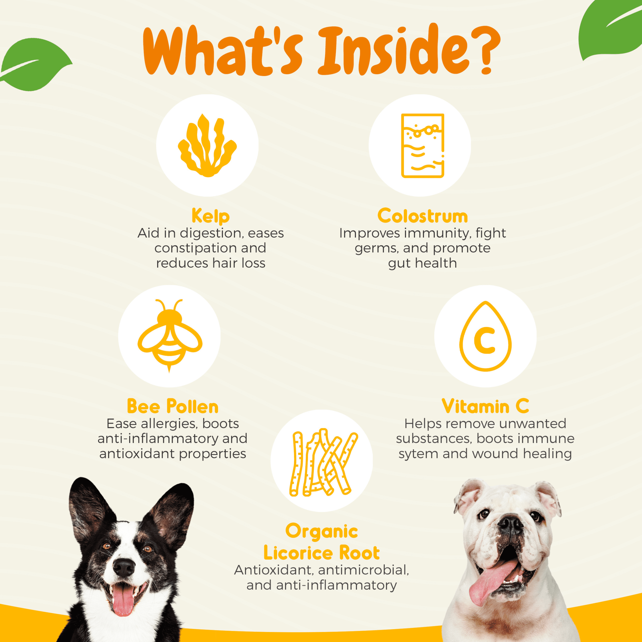 Inner Paw Dog Allergy Relief Chews, Skin Health and Immune Support, Vegetable Flavor, 120 Count