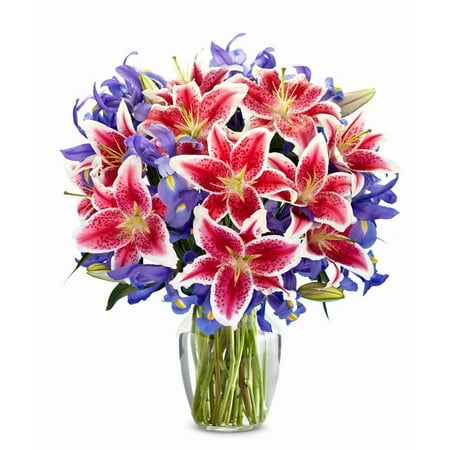 From You Flowers – Premium Starlit Iris Bouquet for Birthday Anniversary Get Well Congratulations Thank You All Occasions From You Flowers – Premium Starlit Iris Bouquet for Birthday Anniversary Get Well Congratulations Thank You All Occasions